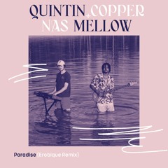 Quintin Copper & Nas Mellow - Paradise (Erobique Remix Instrumental)