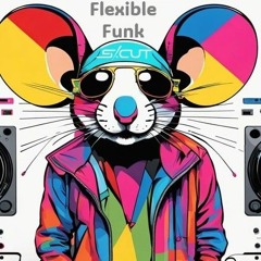 Flexible Funk