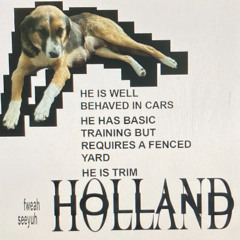 HOLLAND (PROD. gromulus)