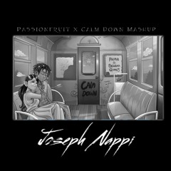 Passionfruit x Calm Down (Joseph Nappi Mashup) *Filtered for copyright*