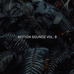 Motion Soundz Vol. 8