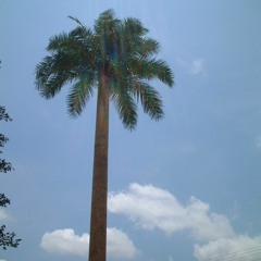 coldblankstare x Kiszka - Airplane Mode (prod coldblankstare)