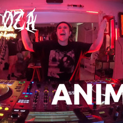 Morfoza Sessions - ANIMA (live at Tinta Tattoo)