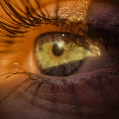 Sunrise (feat. Zero Horizon)