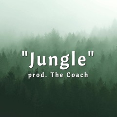 "Jungle" | Chill Lofi Hip Hop Beat