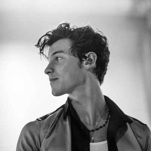 Shawn Mendes- bad reputation (slowed and low pitch)