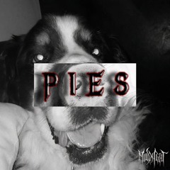 PIES