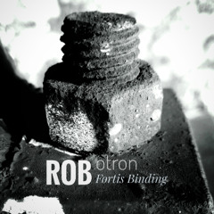 ROBotron-Fortis Binding