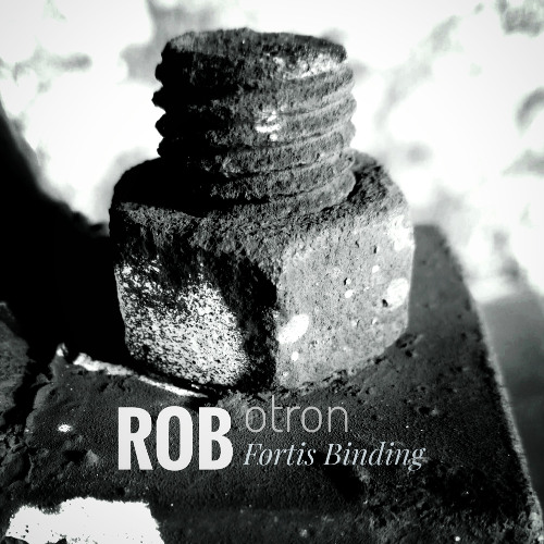 ROBotron-Fortis Binding