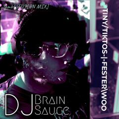 TINY/TIKTOS-|-FESTER\WOO [FUSION MIX] - DJ Brain Sauce