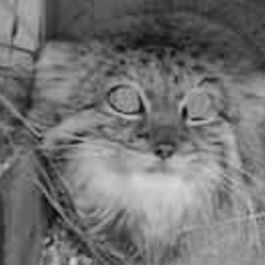 POINZ 2 (2025) ㅤㅤㅤㅤㅤㅤㅤㅤㅤㅤㅤㅤㅤㅤㅤㅤㅤㅤㅤㅤㅤㅤㅤㅤㅤㅤㅤㅤㅤㅤㅤㅤㅤутец