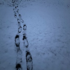 pardon (p. icbwz x stang1st x wysa)