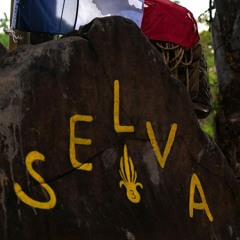 Selva - 2025
