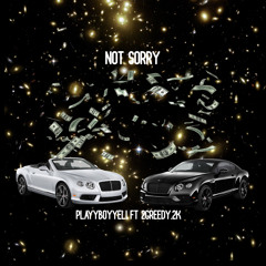 Not Sorry (PlayyBoyyEli Ft. 2Greedy.2k) [PROD ASTRO]