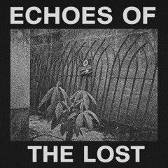 echoes of the lost 001