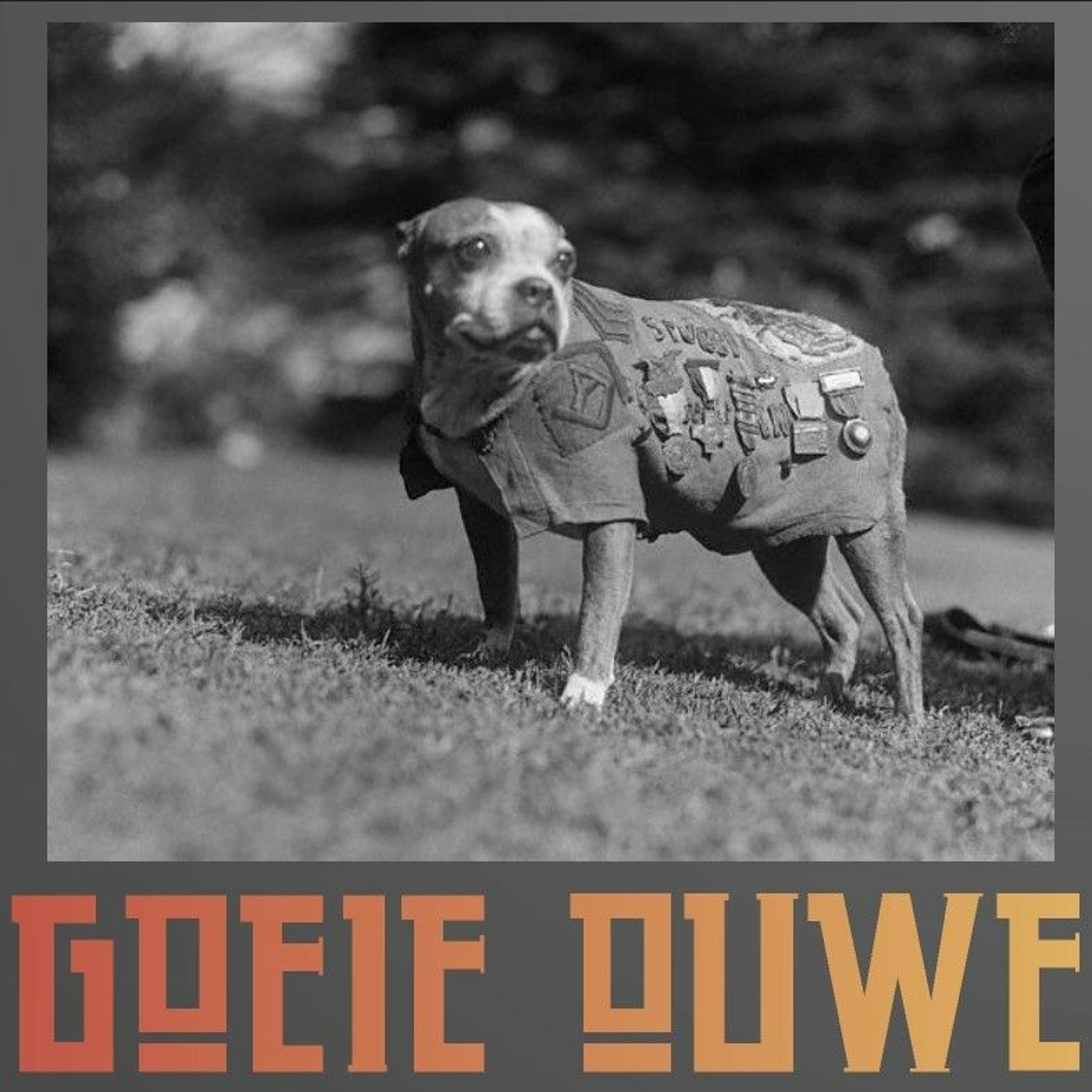 92 - Sergeant Stubby: Patriottische Pup