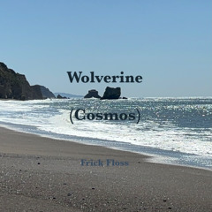 Wolverine (Cosmos)