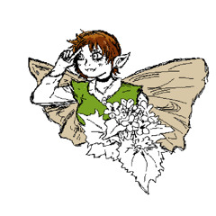 molly rock (gjallarhornit cover)