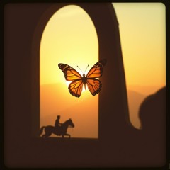 Butterflies Dream