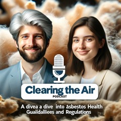 Interview With Experts Understanding Asbestos Health Guidelines And Regulations