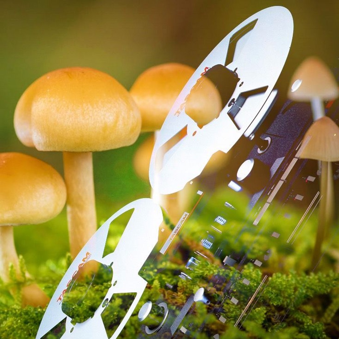 Mushroom Jazz 17 - Mark Farina