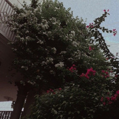 Thương Thầm - Pipo Remix