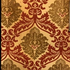 Staren naar de Sterren