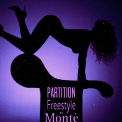 PARTITION FREESTYLE