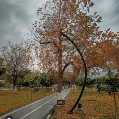 CHAL_CHALIYE_DUNIYA_DI_US_NUKRE_-__NOOR_JEHAN_&_MEHDI_HASSAN_-_PAKISTANI_FILM_DUNIYA_PAISAY_DI(256k)