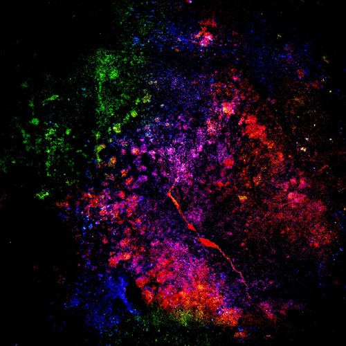 All Things To Everyone