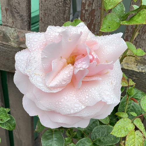 out of the dark by Monster High