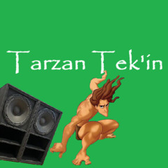 Tarzan Tek'in