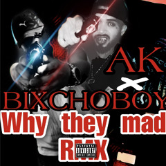 AK |WhyTheyMadRMX| ft Bixchoboy