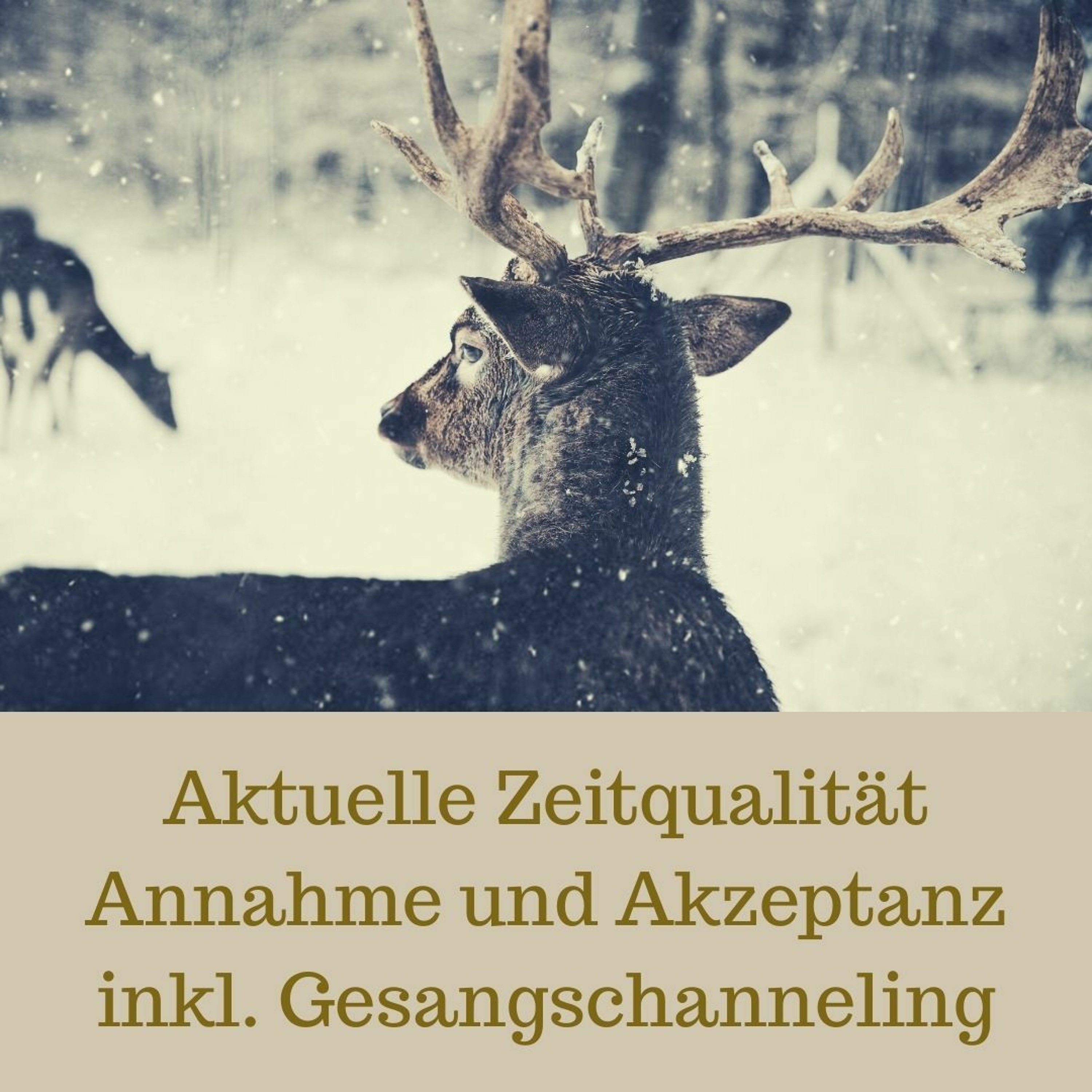 Der Urklang Podcast - Erinnerung an die Uressenz