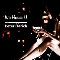 We House U - Acid Version