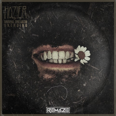 Hozier - Too Sweet (REMAZE Remix) [Pitched]
