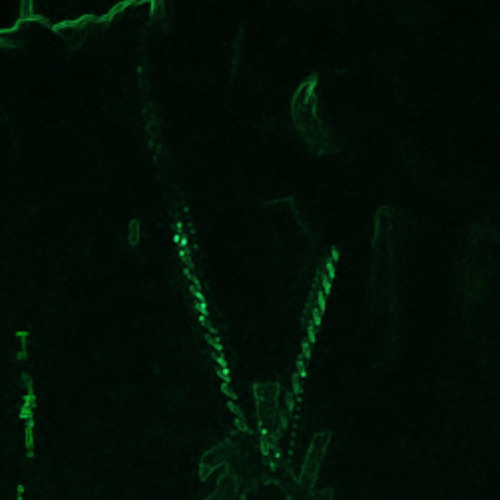 Lilfye HoodTrap Lilfye chopped .m4a