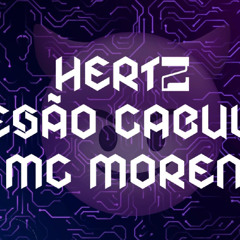 TESAO CABULOSO ELETROFUNK MC MORENA, DJ HERTZ