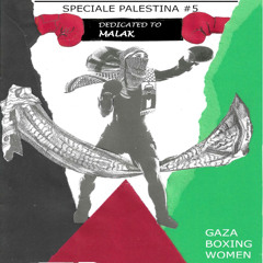 Mappature Sonore - Free Palestine 4