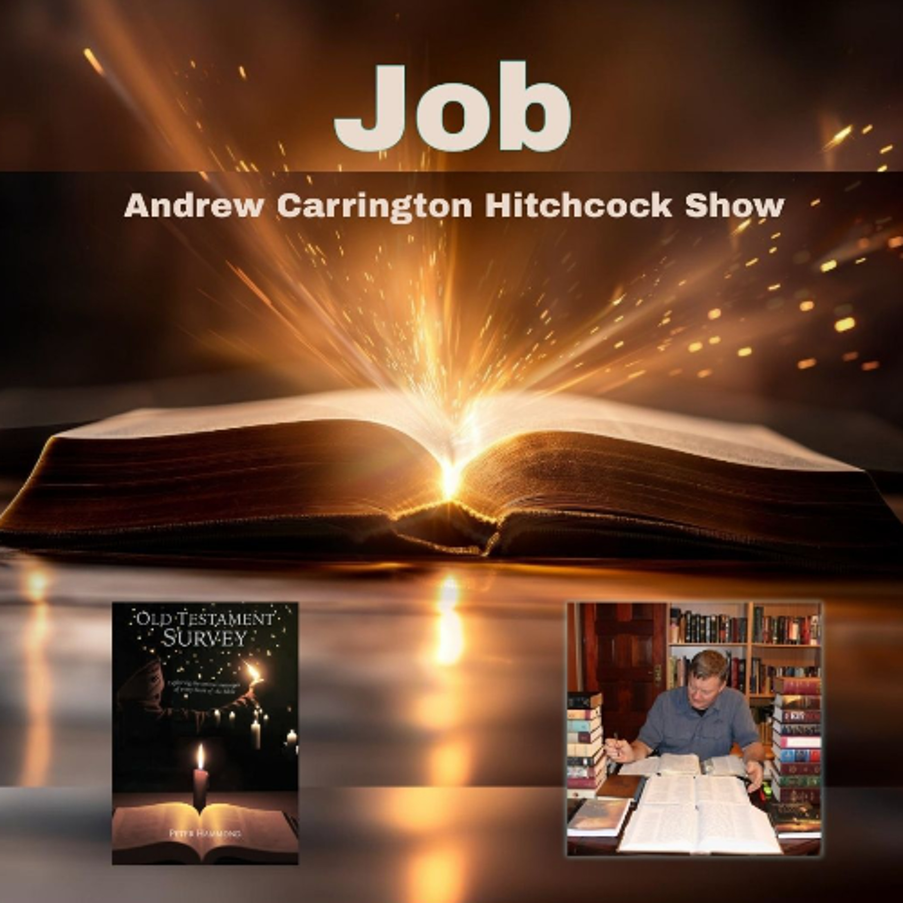 The Real Story Of Job episode artwork