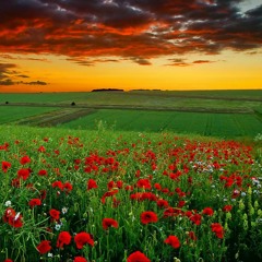 Farben