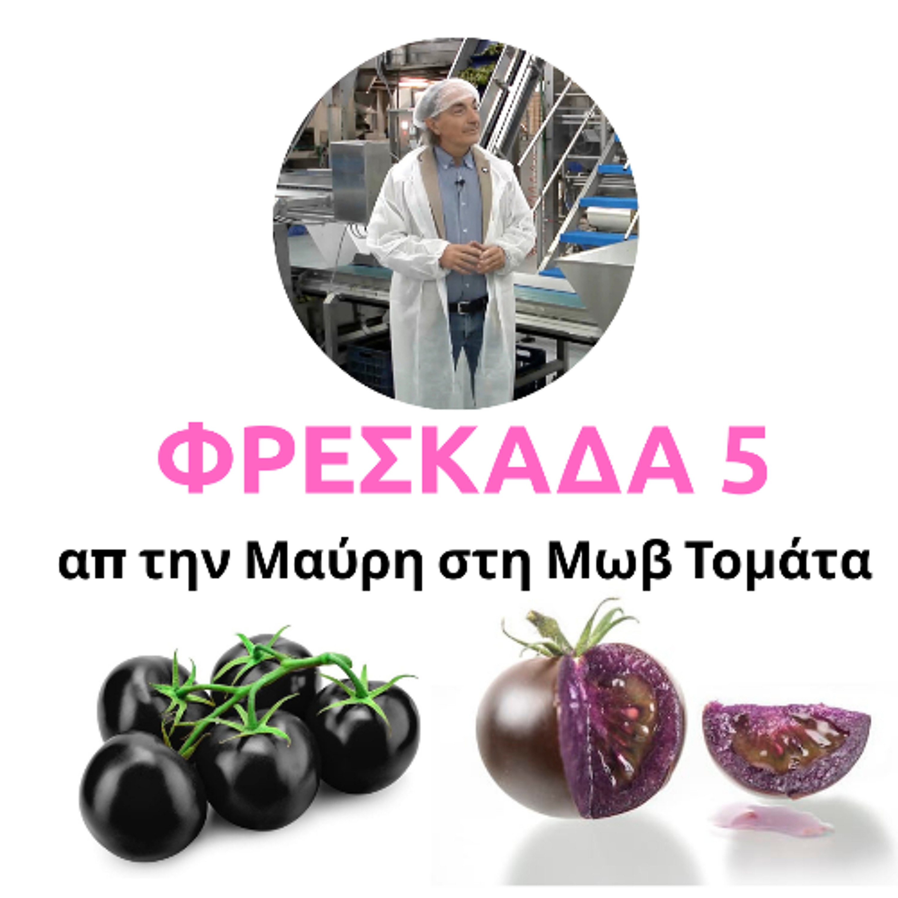 Η Επιστροφή της Μαύρης Ντομάτας - σειρά ΦΡΕΣΚΑΔΑ επεισόδιο 5 episode artwork