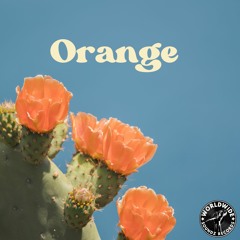DJ Chase - Orange