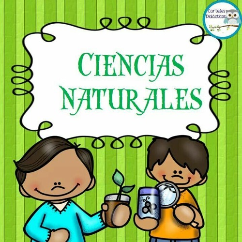 Stream Lcda. Martha Salvatierra | Listen to Ciencias Naturales playlist  online for free on SoundCloud