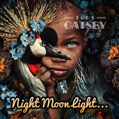 Night Moon Light (Koh Phangan 26.04.2020)
