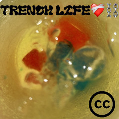 Slizzo - Trench Life