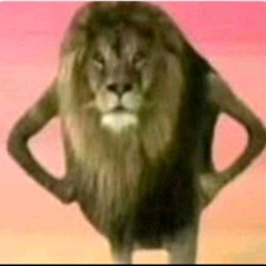 СВЕТЛАНА! - NEXTIME