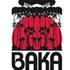 Elevating Beauty with Baka Beautiful Products