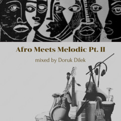 Afro Meets Melodic Pt.II