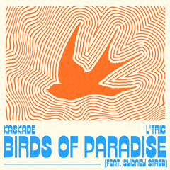 Birds of Paradise (feat. Sydney Streb)